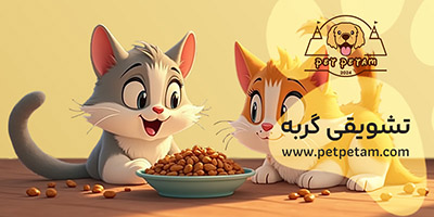 انواع غذا و تشویقی گربه